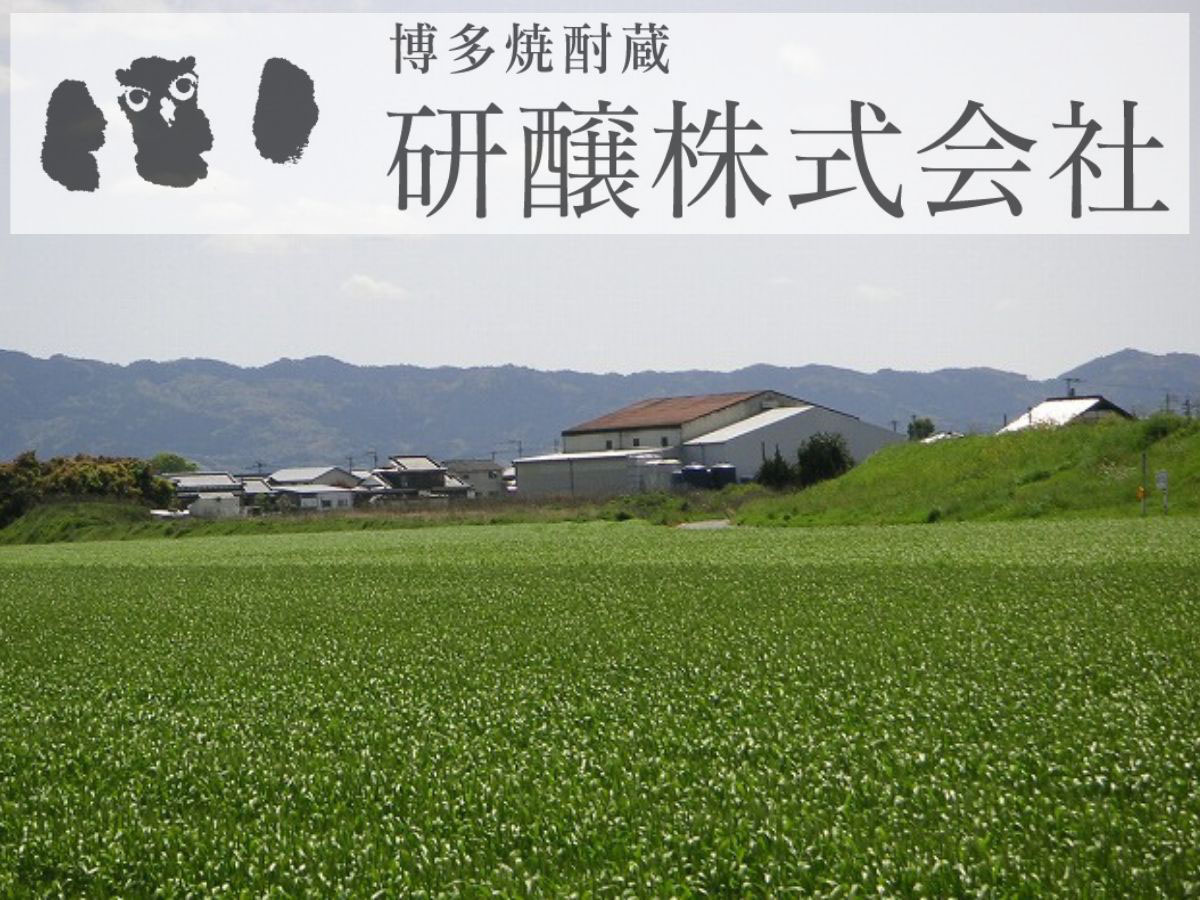 研醸株式会社の外観